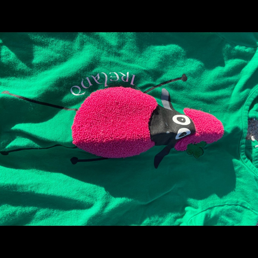 Little girls shirt